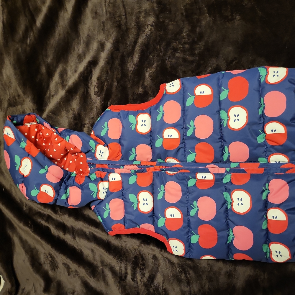 Gymboree Puffer Vest w/ apple print